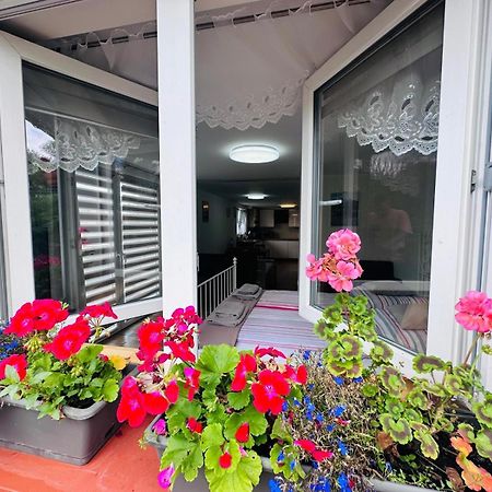 Apartament Bukowy Klodzko Exterior photo
