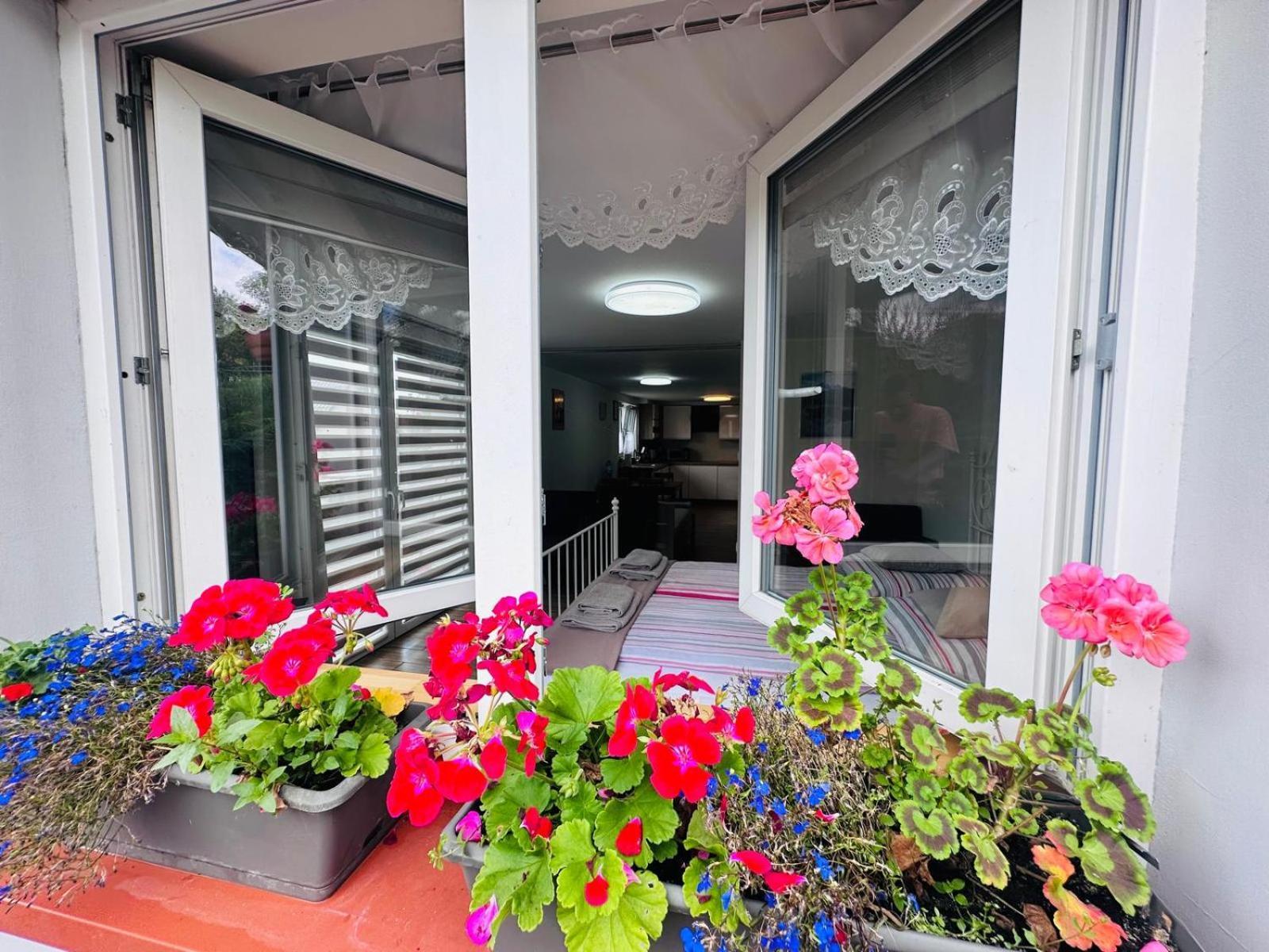 Apartament Bukowy Klodzko Exterior photo